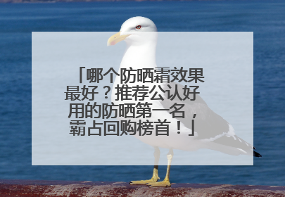 哪个防晒霜效果最好？推荐公认好用的防晒第一名，霸占回购榜首！