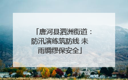 唐河县泗洲街道：防汛演练筑防线 未雨绸缪保安全