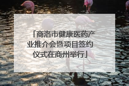 商洛市健康医药产业推介会暨项目签约仪式在商州举行