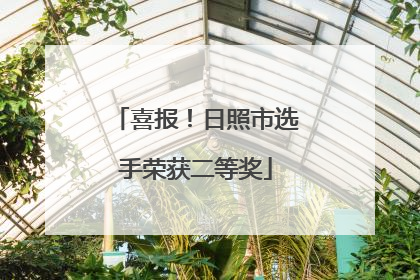 喜报！日照市选手荣获二等奖