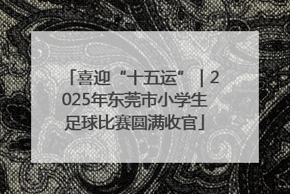 喜迎“十五运”｜2025年东莞市小学生足球比赛圆满收官