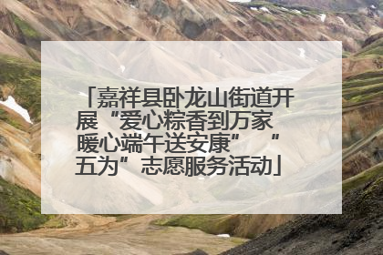 嘉祥县卧龙山街道开展“爱心粽香到万家 暖心端午送安康” “五为”志愿服务活动