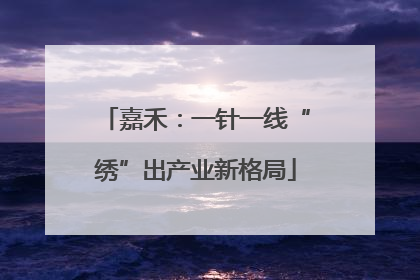 嘉禾：一针一线“绣”出产业新格局