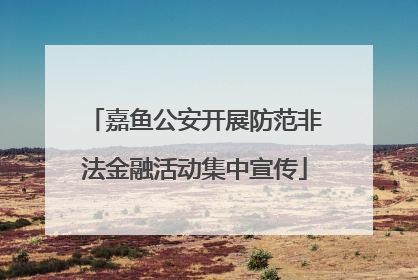 嘉鱼公安开展防范非法金融活动集中宣传