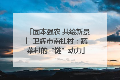 固本强农 共绘新景 ︳卫辉市南社村：蔬菜村的“链”动力