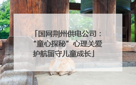 国网荆州供电公司：“童心探秘”心理关爱护航留守儿童成长