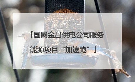 国网金昌供电公司服务能源项目“加速跑”
