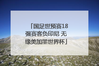 国足世预赛18强赛客负印尼 无缘美加墨世界杯