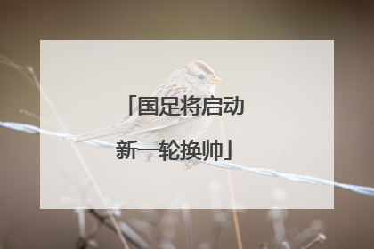 国足将启动新一轮换帅