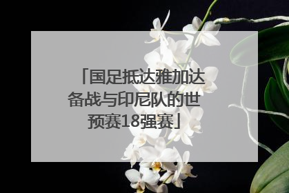 国足抵达雅加达备战与印尼队的世预赛18强赛