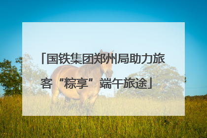 国铁集团郑州局助力旅客“粽享”端午旅途