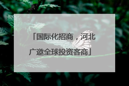 国际化招商，河北广邀全球投资客商
