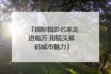 国际摄影名家走进临沂 用镜头解码城市魅力