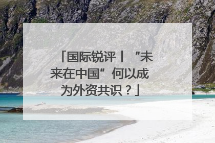 国际锐评丨“未来在中国”何以成为外资共识？
