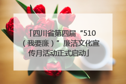 四川省第四届“510（我要廉）”廉洁文化宣传月活动正式启动
