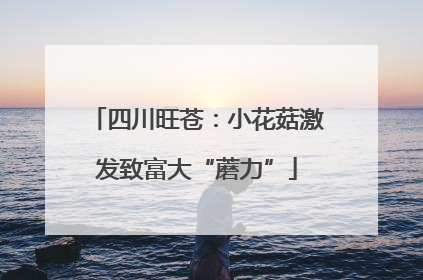 四川旺苍：小花菇激发致富大“蘑力”