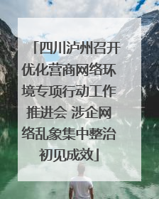 四川泸州召开优化营商网络环境专项行动工作推进会 涉企网络乱象集中整治初见成效