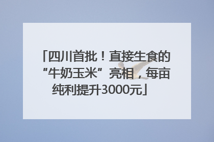 四川首批！直接生食的“牛奶玉米”亮相，每亩纯利提升3000元
