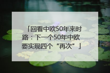 回看中欧50年来时路：下一个50年中欧要实现四个“再次”
