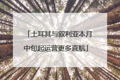 土耳其与叙利亚本月中旬起运营更多直航