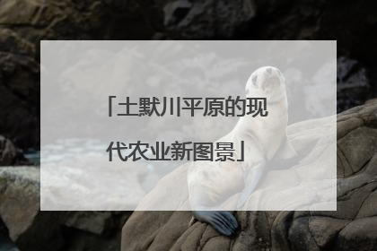 土默川平原的现代农业新图景