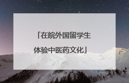 在皖外国留学生体验中医药文化