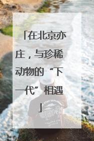 在北京亦庄，与珍稀动物的“下一代”相遇