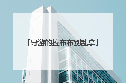 导游的拉布布别乱拿