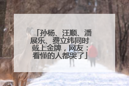 孙杨、汪顺、潘展乐、费立纬同时戴上金牌，网友：看懂的人都哭了
