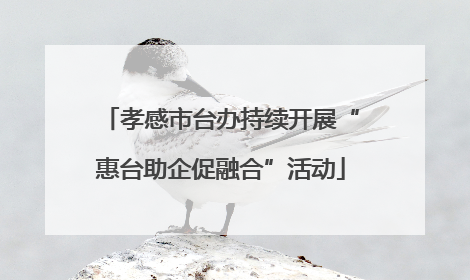 孝感市台办持续开展“惠台助企促融合”活动