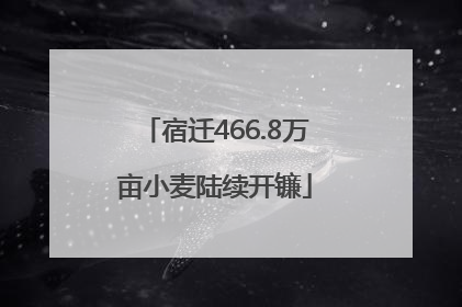 宿迁466.8万亩小麦陆续开镰