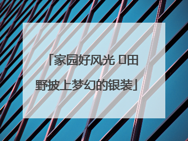 家园好风光 ⎮田野披上梦幻的银装