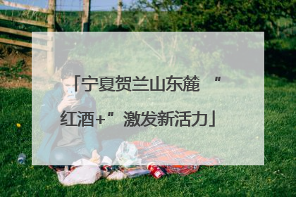 宁夏贺兰山东麓 “红酒+”激发新活力