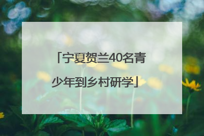 宁夏贺兰40名青少年到乡村研学