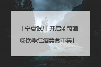 宁夏银川 开启葡萄酒畅饮季红酒美食市集