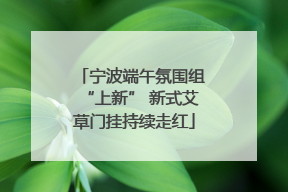 宁波端午氛围组“上新” 新式艾草门挂持续走红