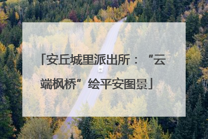 安丘城里派出所：“云端枫桥”绘平安图景