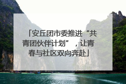 安丘团市委推进“共青团伙伴计划”，让青春与社区双向奔赴
