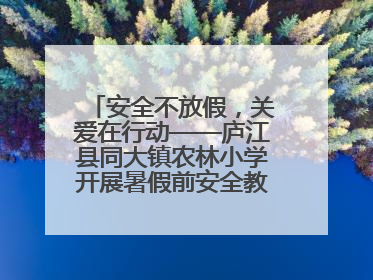 安全不放假，关爱在行动——庐江县同大镇农林小学开展暑假前安全教育大家访