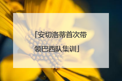 安切洛蒂首次带领巴西队集训
