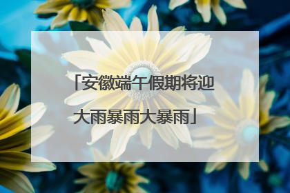 安徽端午假期将迎大雨暴雨大暴雨