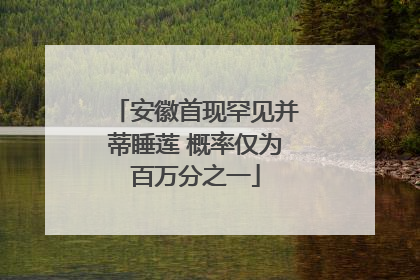 安徽首现罕见并蒂睡莲 概率仅为百万分之一