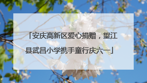 安庆高新区爱心捐赠，望江县武昌小学携手童行庆六一