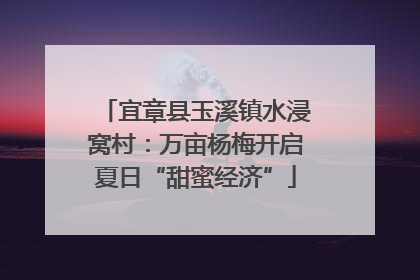 宜章县玉溪镇水浸窝村：万亩杨梅开启夏日“甜蜜经济”
