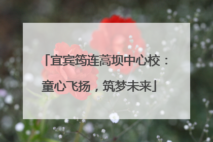 宜宾筠连蒿坝中心校：童心飞扬，筑梦未来