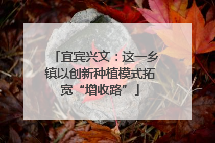 宜宾兴文：这一乡镇以创新种植模式拓宽“增收路”