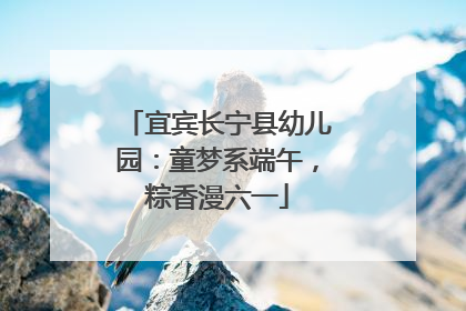 宜宾长宁县幼儿园：童梦系端午，粽香漫六一