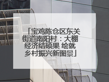 宝鸡陈仓区东关街道南阳村：大棚经济结硕果 绘就乡村振兴新图景