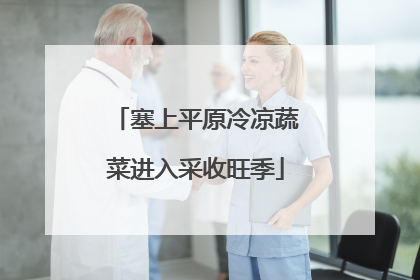 塞上平原冷凉蔬菜进入采收旺季