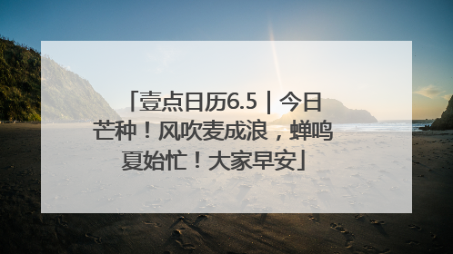 壹点日历6.5｜今日芒种！风吹麦成浪，蝉鸣夏始忙！大家早安
